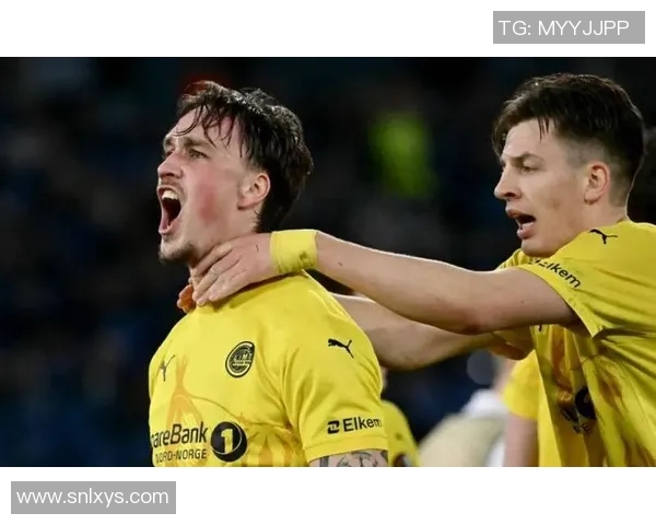 沃尔夫斯堡遭遇弗赖堡双重打击,陷入连败困境